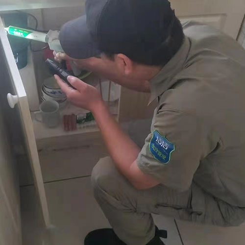 灭蟑螂